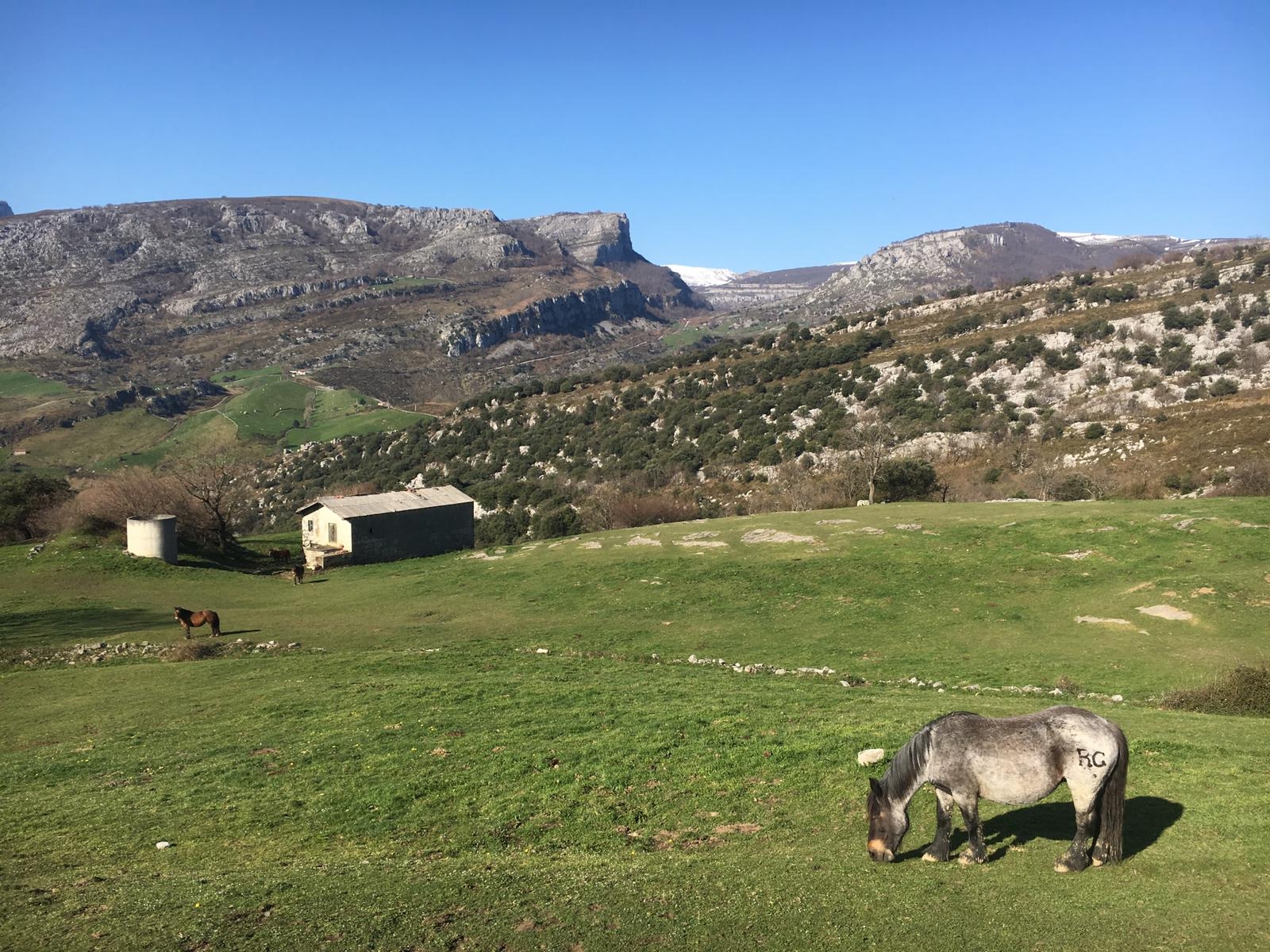 Mazo Grande (1.199 m)