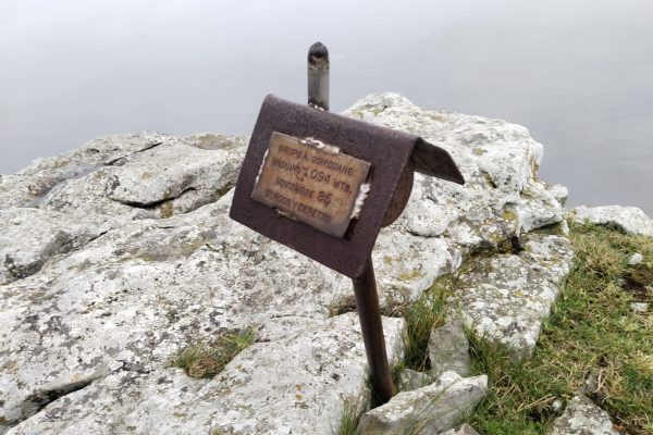 WhatsApp Image 2025-11-08 at 15.20.48 (1)