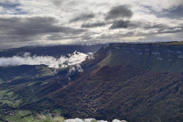 WhatsApp Image 2025-11-08 at 15.20.49 (1)