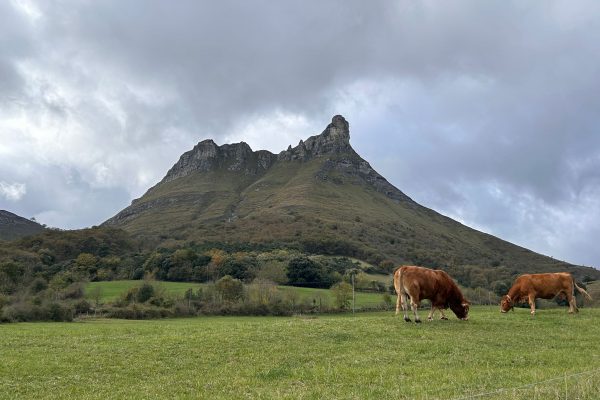 WhatsApp Image 2025-11-08 at 16.00.35