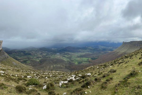 WhatsApp Image 2025-11-08 at 16.00.38