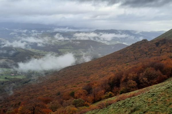 WhatsApp Image 2025-11-08 at 16.30.21