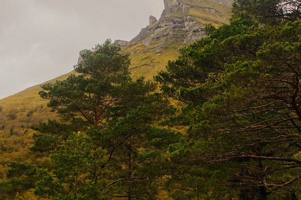 WhatsApp Image 2025-11-08 at 17.27.37