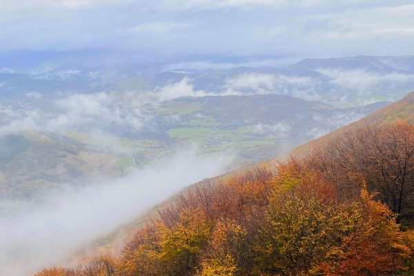 WhatsApp Image 2025-11-08 at 17.27.42 (1)