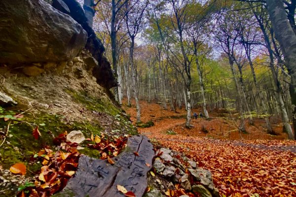 WhatsApp Image 2025-11-08 at 17.27.43 (1)