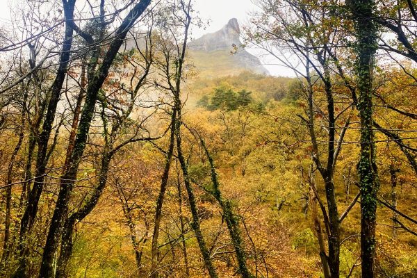 WhatsApp Image 2025-11-08 at 17.27.45 (1)