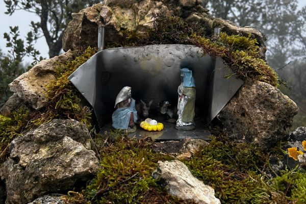 WhatsApp Image 2025-12-14 at 16.20.47