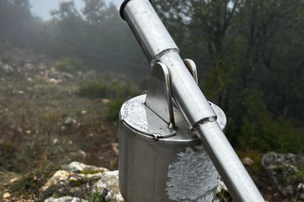 WhatsApp Image 2025-12-14 at 16.20.48