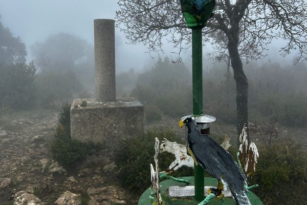 WhatsApp Image 2025-12-14 at 16.20.49