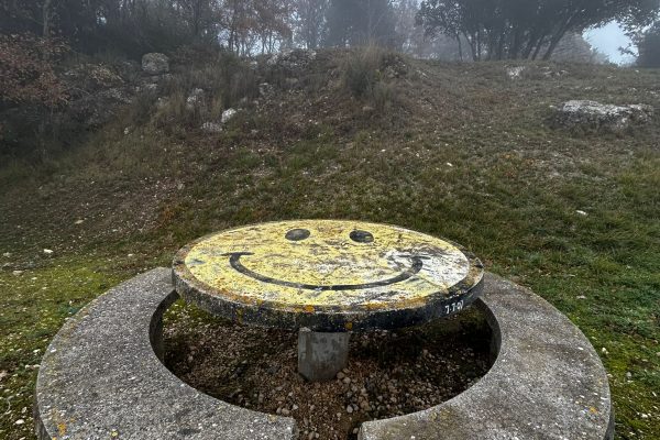 WhatsApp Image 2025-12-14 at 16.21.05 (1)