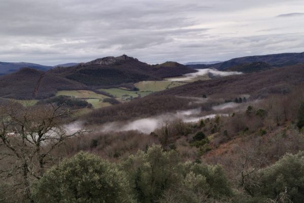 WhatsApp Image 2026-02-15 at 14.52.15 (1)