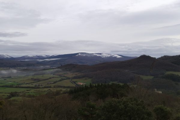 WhatsApp Image 2026-02-15 at 14.52.15 (2)