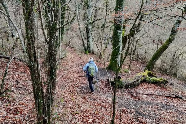 WhatsApp Image 2026-02-16 at 09.31.38