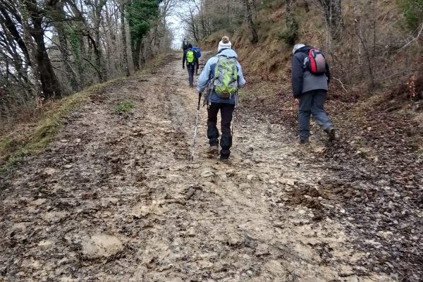 WhatsApp Image 2026-02-16 at 09.31.40