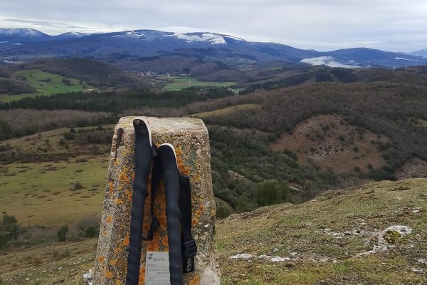 WhatsApp Image 2026-02-16 at 09.31.41 (1)